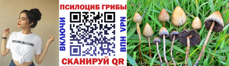 Псилоцибиновые грибы Cubensis  MEGA ТОР  Крым 